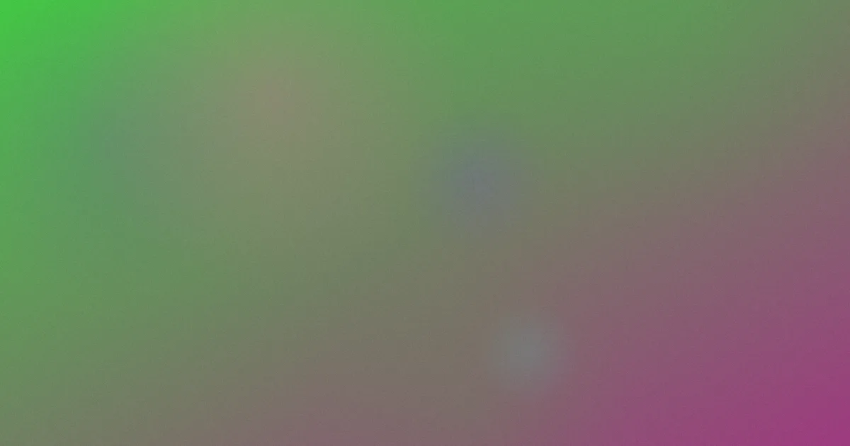 毛片免费观看怎么用？实测对比